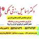 دکتر اسماعیل رزقی ملکی