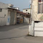 سورتینگ بادله(میوه فروشی)