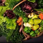 محصولات ارگانیک شمال