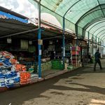 باغ گل رضوان