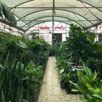 باغ گل رضوان