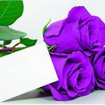 خدمات ناخن رز