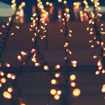 دکتر علیرضا جباری