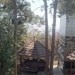 رستوران آفالینا