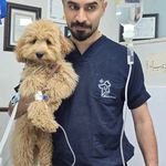 درمانگاه دامپزشکی دکتر خرمی - اصفهان - 9296