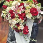 آلپینا گلفروشی تربت حیدریه