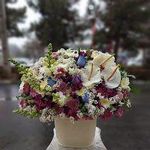 گلفروشی نجفی بازارگل گیاه