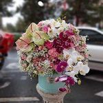 گلفروشی نجفی بازارگل گیاه