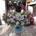 گلفروشی نجفی بازارگل گیاه