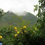 کوه آربابا