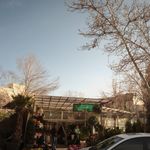 گلفروشی
