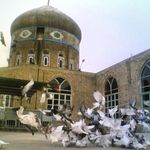 امامزاده حلیمه خاتون کرکوند