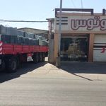 رابیتس لوتوس
