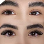 خدمات مژه ماهی مون