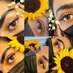 اکستنشن مژه و لیفت مژه و ابرو روشا