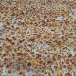 فست فود دولپی