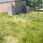 قبرستان پاپون سفلی