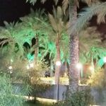 باغ رستوران سی تو (باغشا)