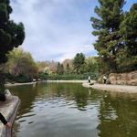 باغ صخره‌ای
