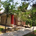 سرویس بهداشتی جنوبی بوستان ورزش
