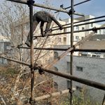 بهروز کوشکی