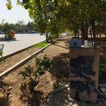 سرویس بهداشتی بوستان سلامت