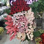 فروشگاه گل فستیوال