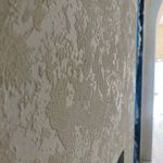 رامین حیدری شاملو