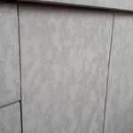 رامین حیدری شاملو