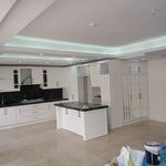 رامین حیدری شاملو