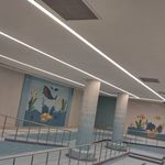 رامین حیدری شاملو