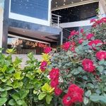 رستوران نایب