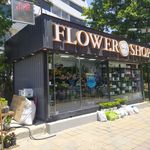 فروشگاه گل فستیوال