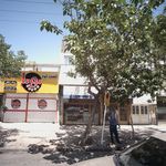 فست فود پویا