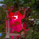 کافه رستوران بابا عطا