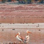 تالاب آبشینه