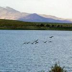 تالاب آبشینه