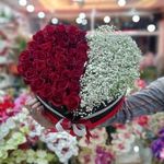 گل فروشی گل نرگس شهرکرد