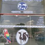 کلینیک دامپزشکی دکتر محمودی