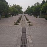 بوستان رجا