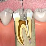 کلینیک دندانپزشکی فدک