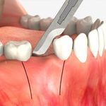 کلینیک دندانپزشکی فدک