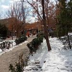 بوستان فخر