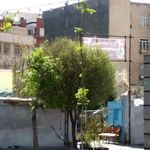 باغ گل و گیاه دهقانی