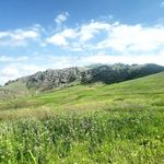 کافی شاپ شبانه تولون