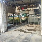باغ گل و گیاه دهقانی