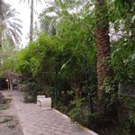 باغ رستوران البرز