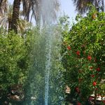 باغ رستوران البرز