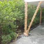 باغ رستوران البرز