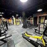 باشگاه بدنسازی هفت ستاره